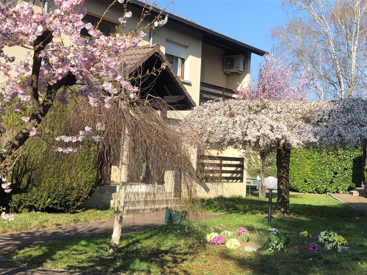 Les Tilleuls Montbeliard Sud Audincourt Zewnętrze zdjęcie